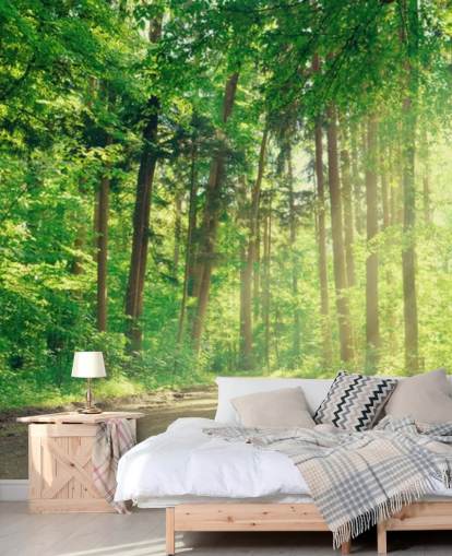 papel de parede de madeira verde personalizado chamado Forest Track Sunlight para salas de estar ou escritórios papel de parede de madeira verde personalizado chamado Forest Track Sunlight para salas de estar ou escritórios