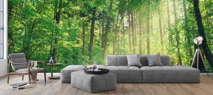 grön anpassad trä tapet kallad Forest Track Sunlight för vardagsrum eller kontor 