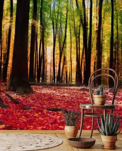 rode bosbehangmuurschildering genaamd Colourful Autumn Forest voor verzorgingstehuizen rode bosbehangmuurschildering genaamd Colourful Autumn Forest voor verzorgingstehuizen
