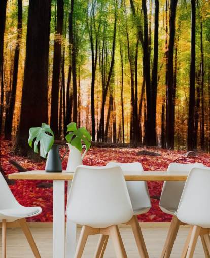 red woodland wallpaper mural called Colourful Autumn Forest for care homes red woodland wallpaper mural called Colourful Autumn Forest for care homes