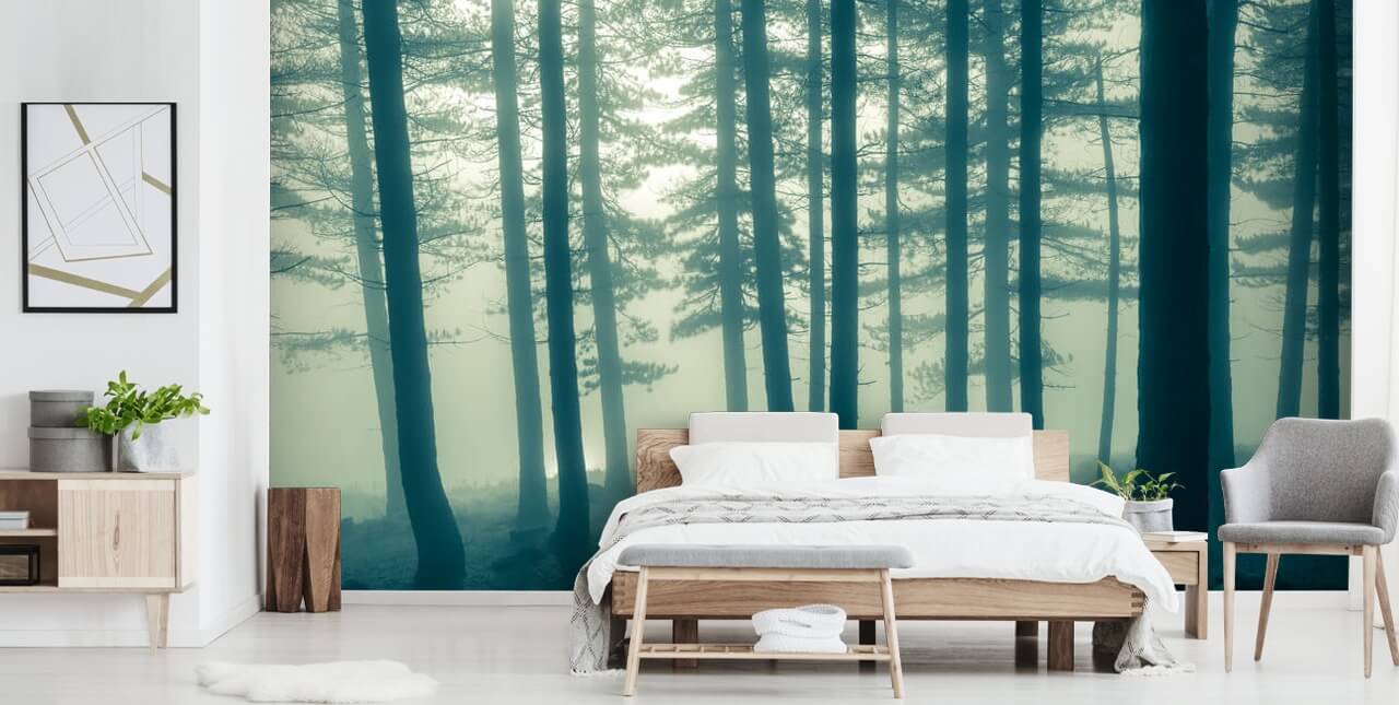 mørk skov tapet vægmaleri kaldet Foggy Forest til soveværelser, kontorer og mere