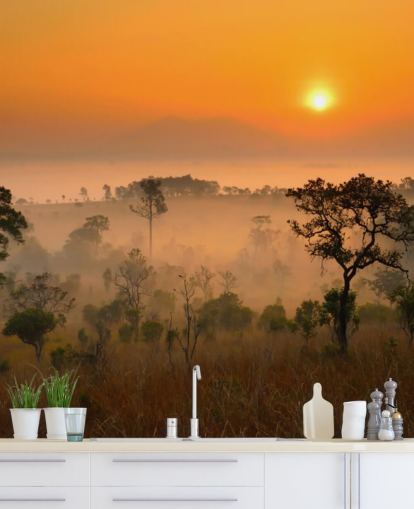 Afrikanischer nebliger Wald Tapete Afrikanischer nebliger Wald Tapete