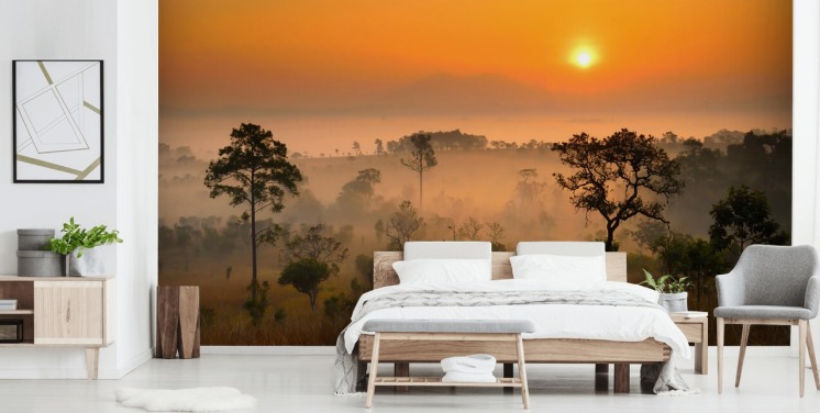 Fondo de pantalla de bosque brumoso africano