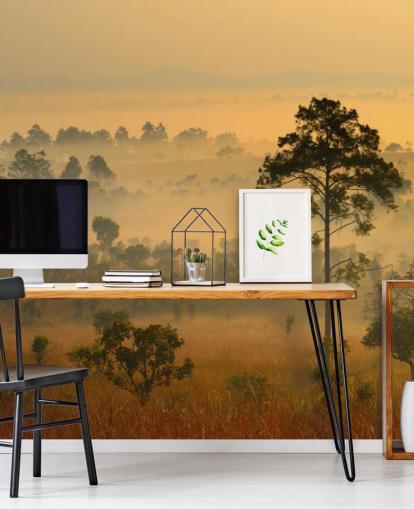 Misty African Forest Bakgrund Misty African Forest Bakgrund