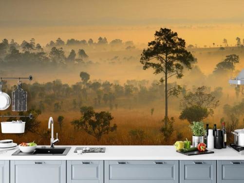 Misty African Forest Bakgrund