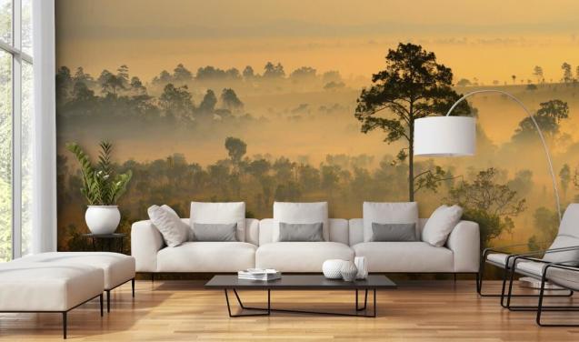 Misty African Forest Wallpaper