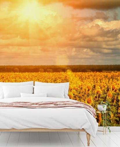 Zonnebloemen in een veld bij Sunrise Mural Zonnebloemen in een veld bij Sunrise Mural