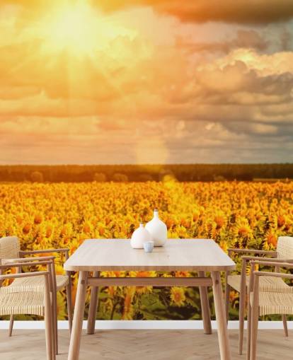 Auringonkukat kentällä auringonnousun seinämaalauksessa Auringonkukat kentällä auringonnousun seinämaalauksessa