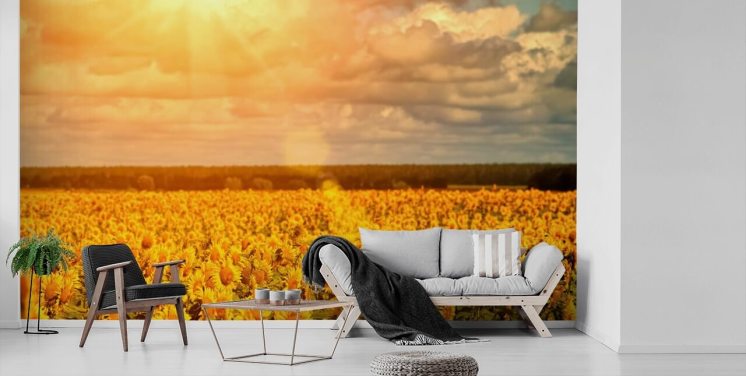 Sunflower Wallpaper & Wall Murals | Wallsauce US