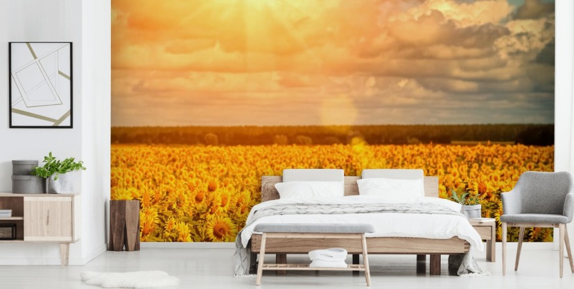 Sunflower Wallpaper & Wall Murals | Wallsauce US