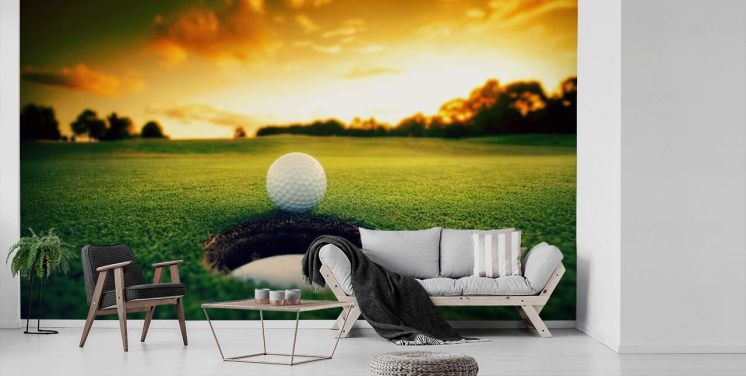 Golf Ball Near Hole Golf Wallpaper