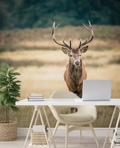 Lonely Red Stag Wallpaper Lonely Red Stag Wallpaper