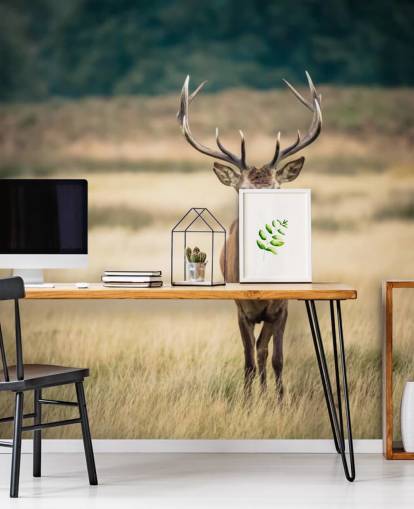 Einsamer roter Hirsch Tapete Einsamer roter Hirsch Tapete