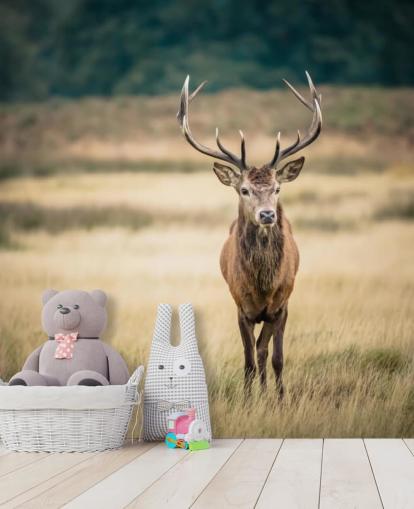 Lonely Red Stag Baggrund Lonely Red Stag Baggrund