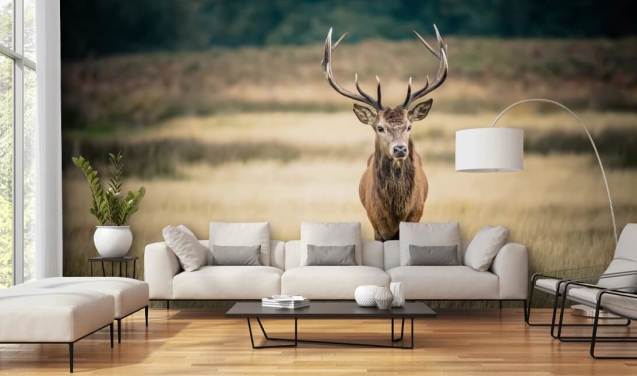 Lonely Red Stag Behang