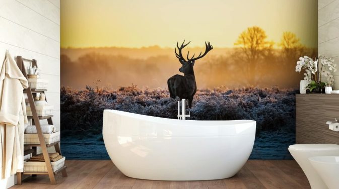 Red Deer Sunrise Muurschildering Behang
