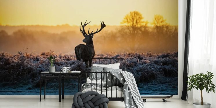 Red Deer Solopgang Vægmaleri Baggrund