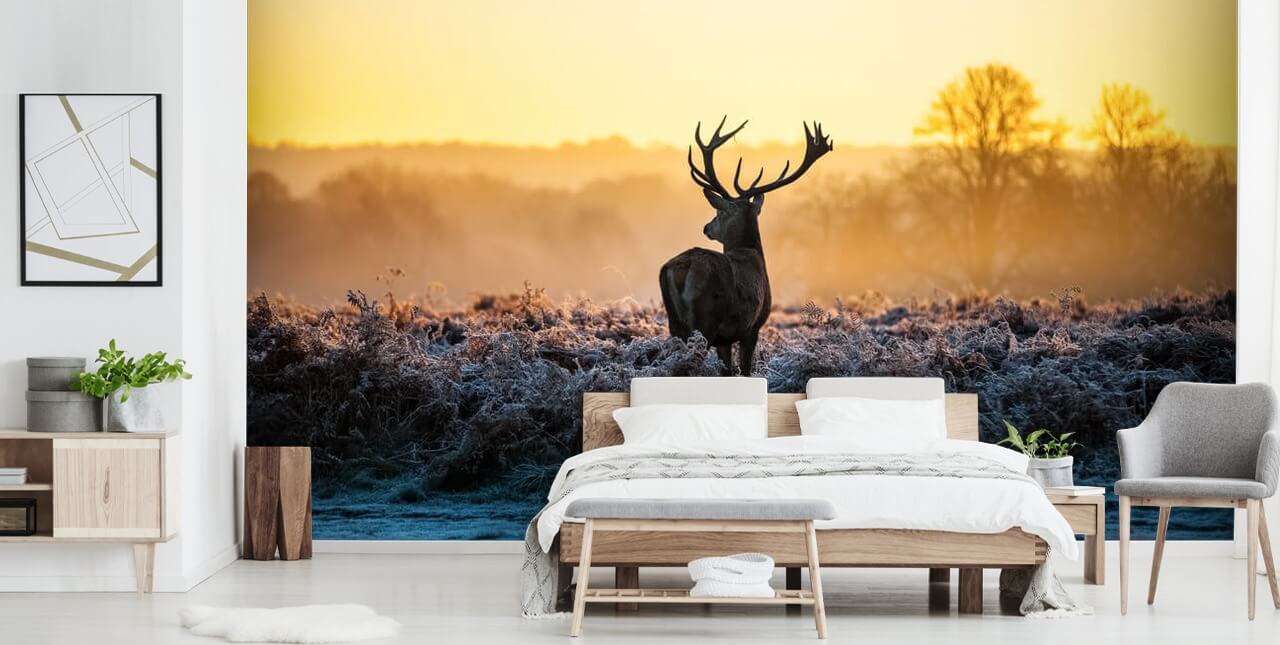 Red Deer Sunrise Wall Mural Wallpaper Red Deer Sunrise Wall Mural Wallpaper