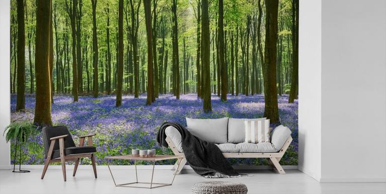 Forest Wallpaper & Tree Wallpaper Murals | Wallsauce US