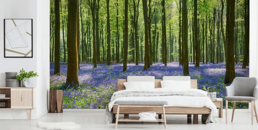 Forest Wallpaper & Tree Wallpaper Murals | Wallsauce US