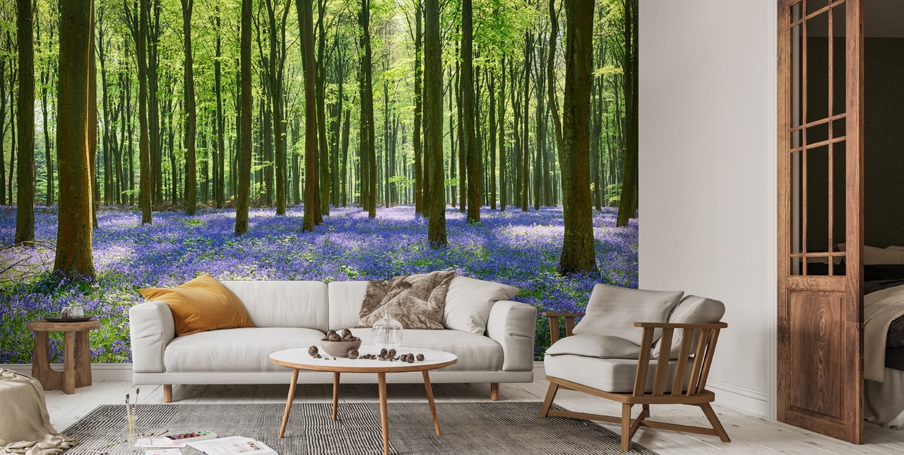 Bluebell Forest Wallpaper | Wallsauce US