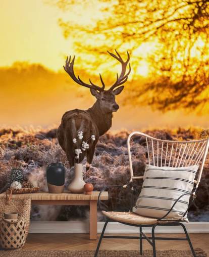 mural de papel de parede de veado personalizado chamado Stunning Red Deer In Morning Sun para quartos e salas de estar mural de papel de parede de veado personalizado chamado Stunning Red Deer In Morning Sun para quartos e salas de estar