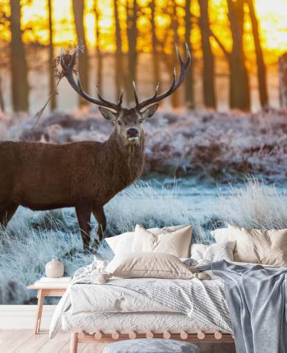 Stag Hintergrundbild Stag Hintergrundbild