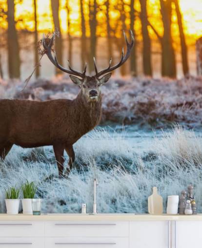 Stag Wallpaper Stag Wallpaper