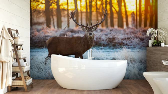 Stag Baggrund