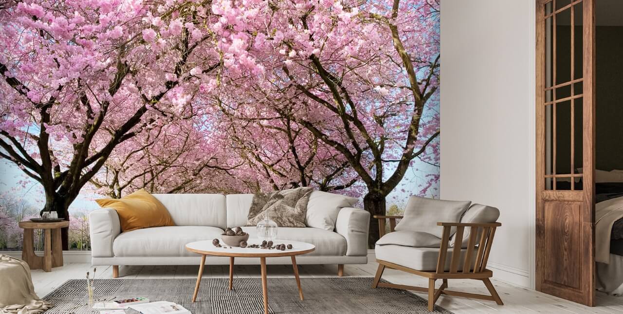 Cherry Blossom Tree Lined Walkway Wallpaper Mural, Custom Sizes Availa –  Maughon's