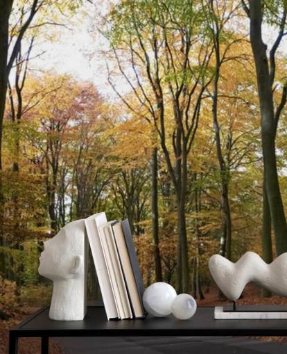 Carta da parati Percorso Attraverso Foresta Autunnale Carta da parati Percorso Attraverso Foresta Autunnale