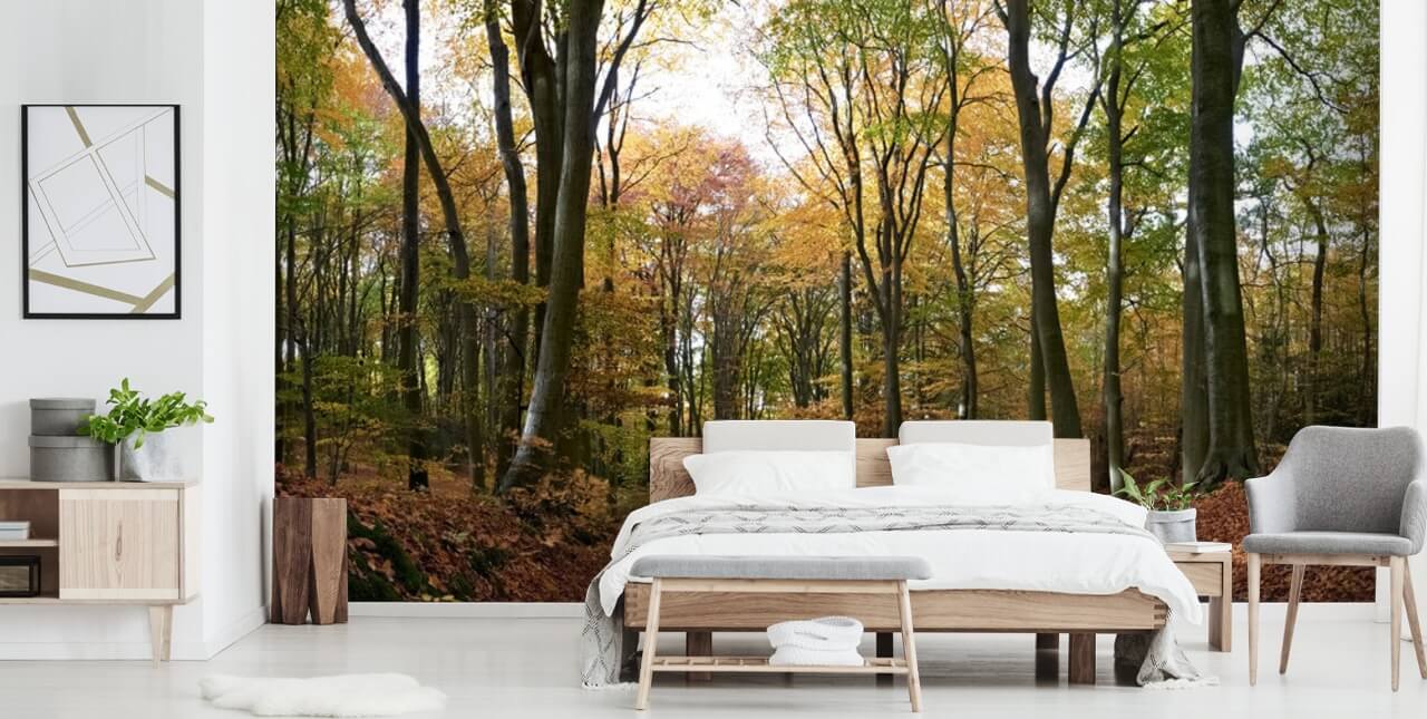 Sökväg genom höstens Forest Bakgrund