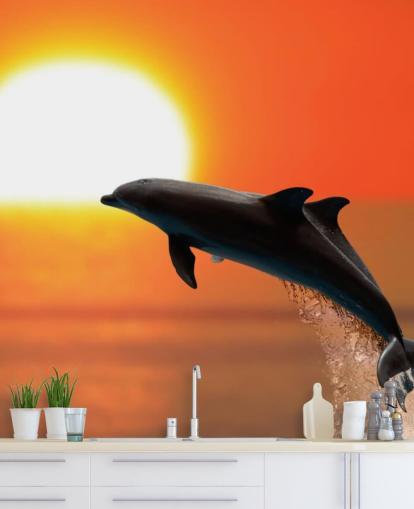 Jumping Dolphins at Sunset Wallpaper Jumping Dolphins at Sunset Wallpaper