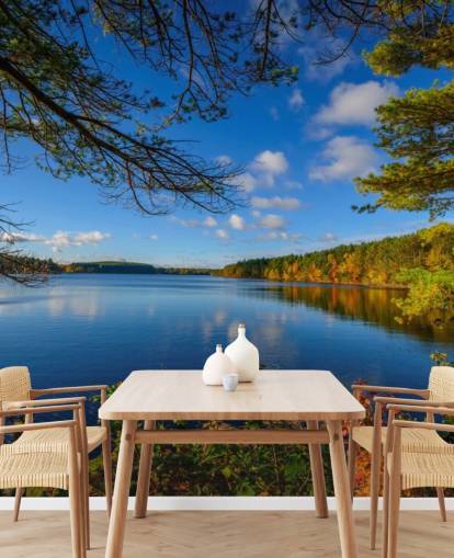 Beautiful Lake Side of Forest Wall Mural Beautiful Lake Side of Forest Wall Mural