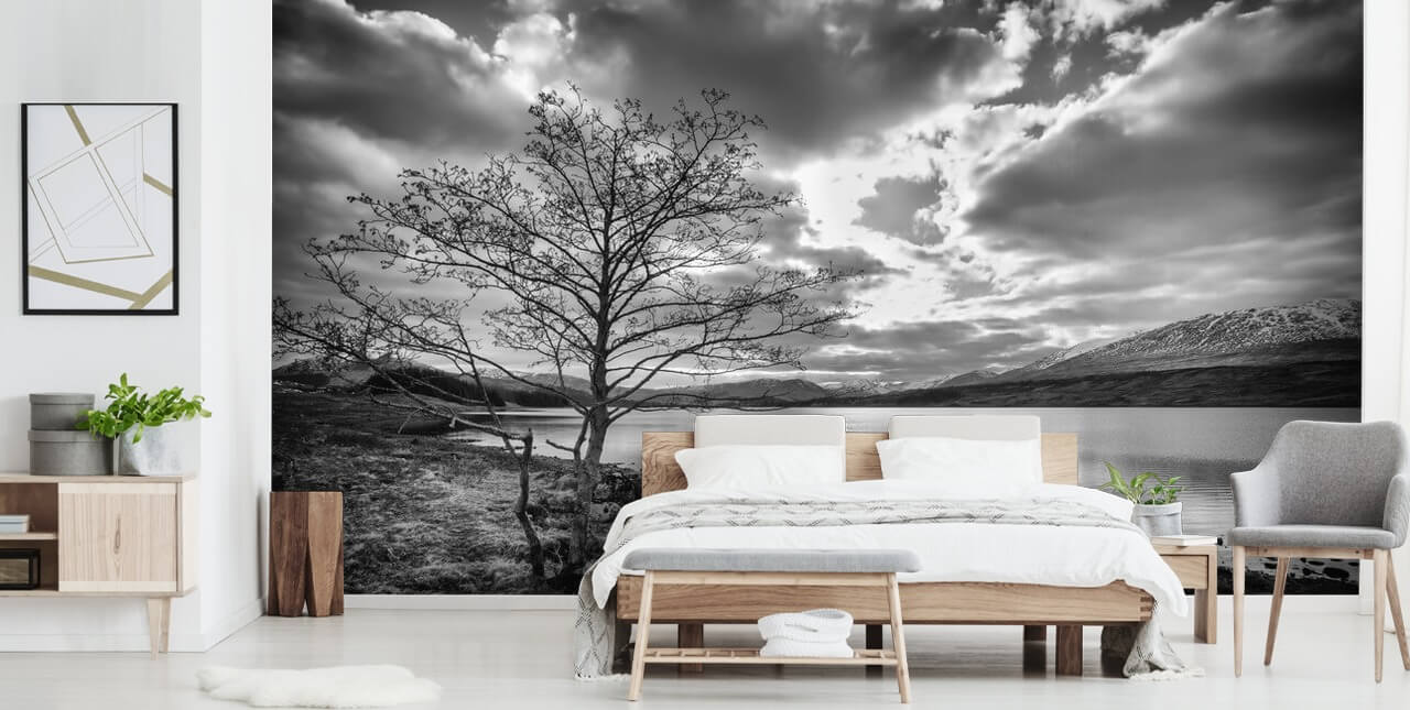 Papel Pintado Lago Escocés