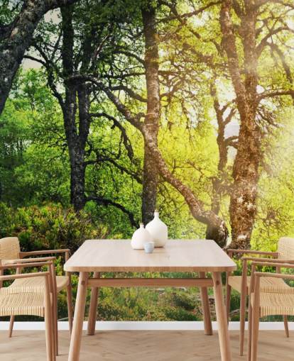 Skog Tapeter Skog Tapeter