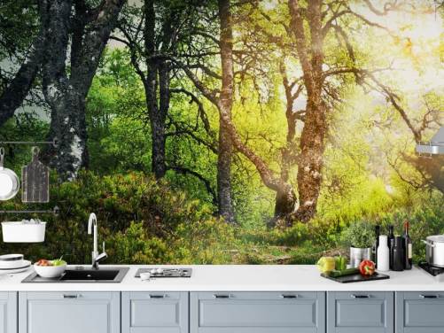 Woodland Baggrund
