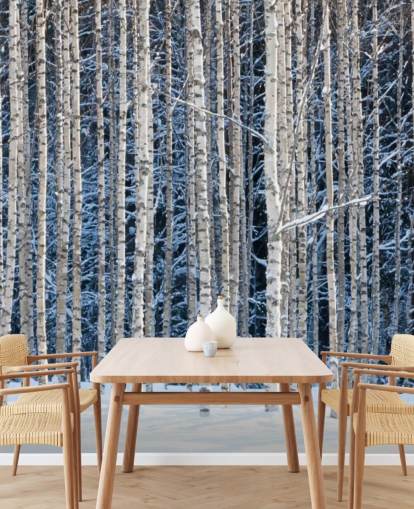 winter forest wallpaper mural called Snowy Birch Forest for bedrooms winter forest wallpaper mural called Snowy Birch Forest for bedrooms