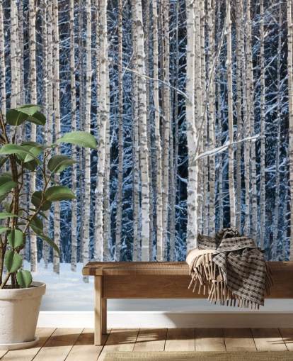 carta da parati murale con foresta invernale chiamata Snowy Birch Forest per camere da letto carta da parati murale con foresta invernale chiamata Snowy Birch Forest per camere da letto