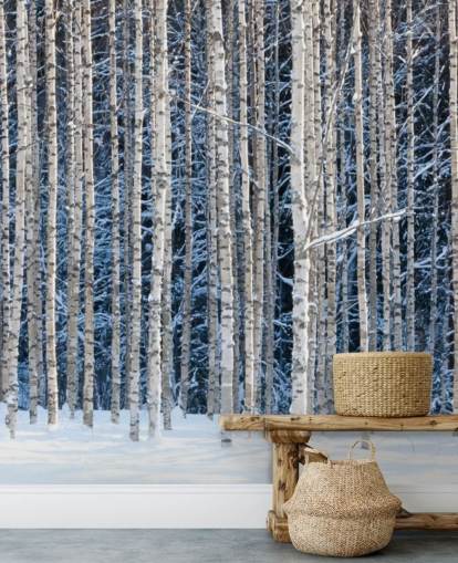 winter forest wallpaper mural called Snowy Birch Forest for bedrooms winter forest wallpaper mural called Snowy Birch Forest for bedrooms