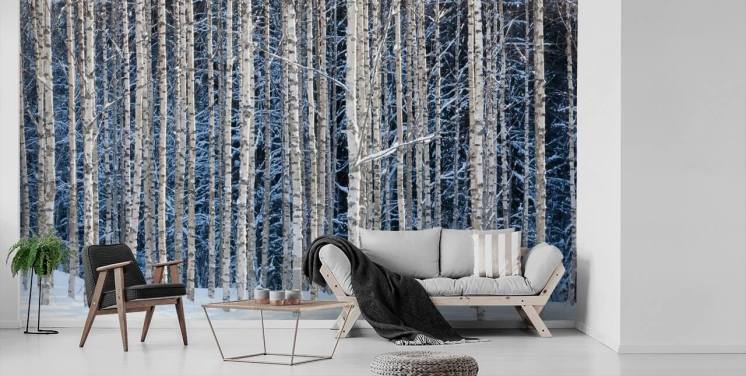 vinterskog tapetväggmålning kallad Snowy Birch Forest för sovrum
