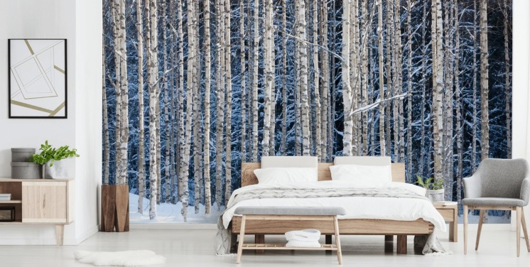 vinterskog tapet veggmaleri kalt Snowy Birch Forest for soverom
