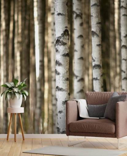 Silver Birch Tapete Silver Birch Tapete