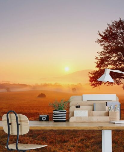 Træ i Field Sunset Baggrund Træ i Field Sunset Baggrund