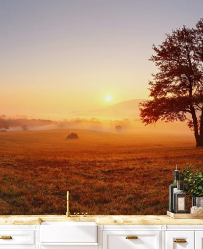 Tre i feltet Sunset Bakgrunn Tre i feltet Sunset Bakgrunn