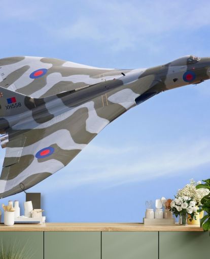 Camouflage Aircraft Baggrund Camouflage Aircraft Baggrund