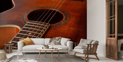 Acoustic Guitar