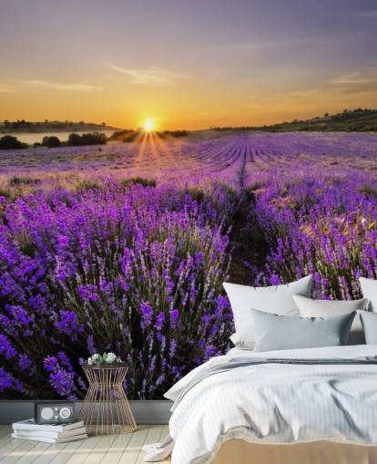 Purple Lavender Field with Sunset Wallpaper Purple Lavender Field with Sunset Wallpaper