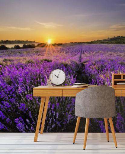 Lila lavendel Fält med Sunset Lila lavendel Fält med Sunset