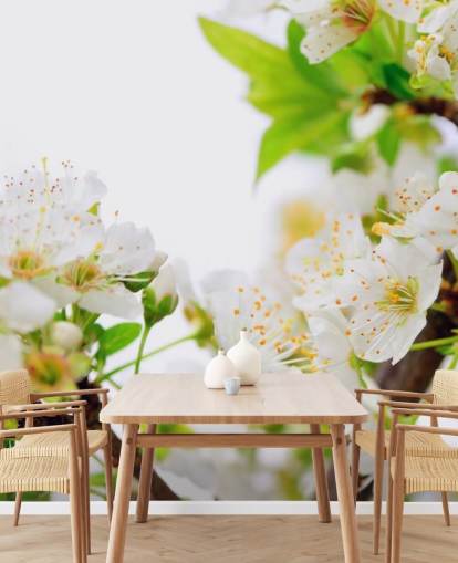 White Plum Blossom Branch Wallpaper White Plum Blossom Branch Wallpaper